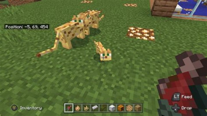 Can ocelots be pets Minecraft?