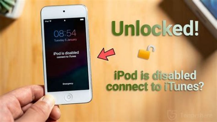 Can you disable Internet on iPod touch?