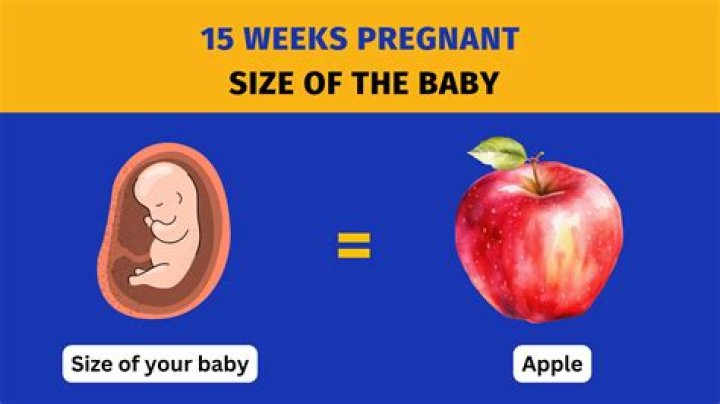 Can you feel your baby at 15 weeks?