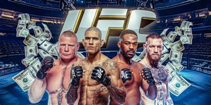 How do UFC fighters make money?