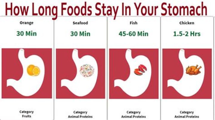 How long does it take for the stomach to empty after a meal?