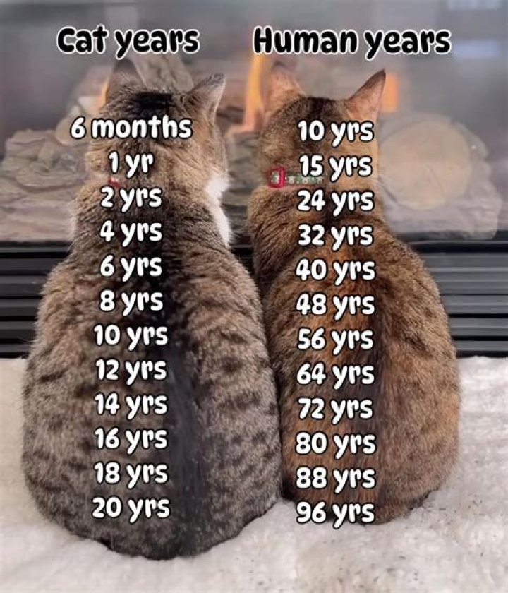 How many years is a veterinary course?