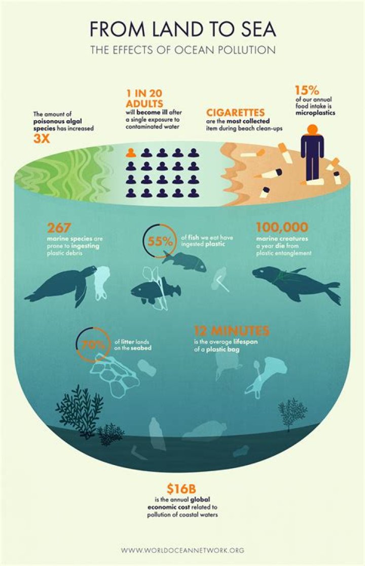 How much pollution does SEA LIFE kill?