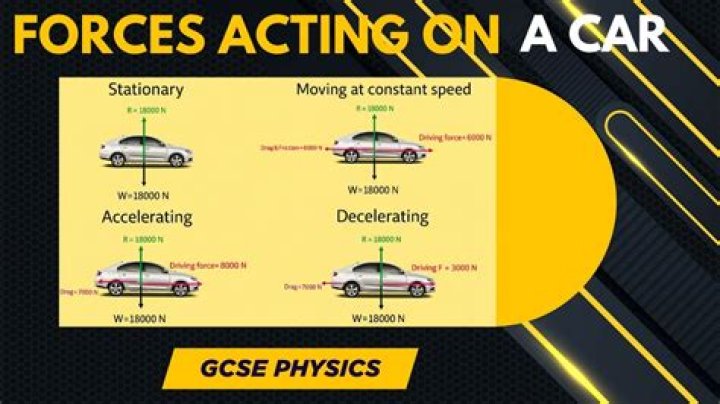 What are the forces acting on a catapult?