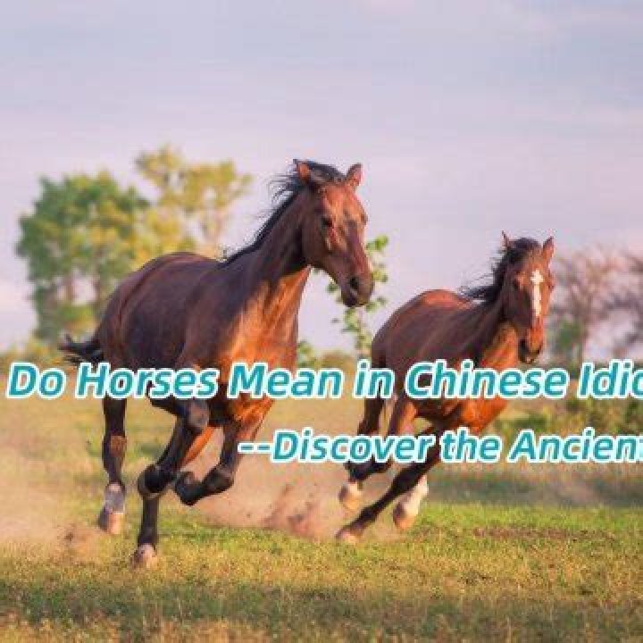 What do horses mean in Chinese culture?