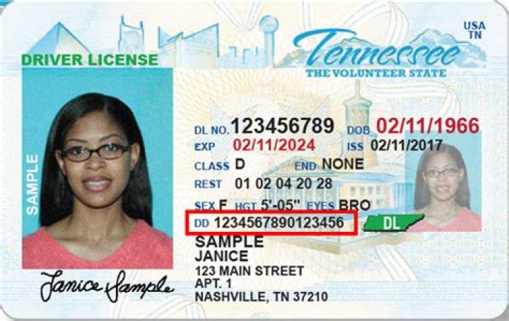 What does type DUP mean on a license?