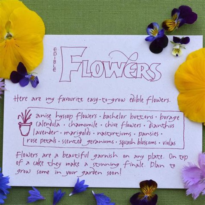 What flowers may? | ContextResponse.com