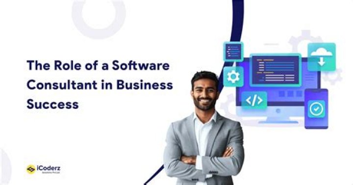 What is a software consultant?
