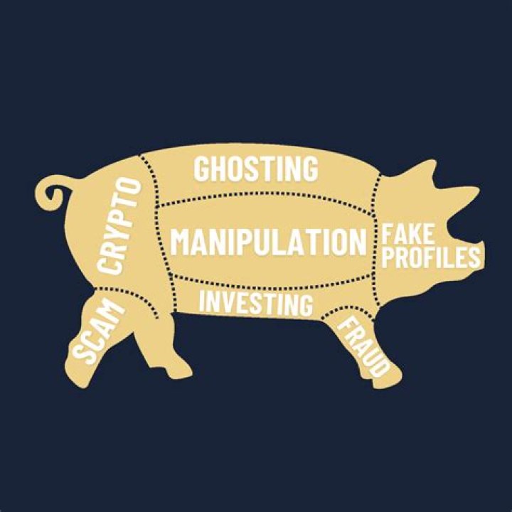 What is pig skin? | ContextResponse.com