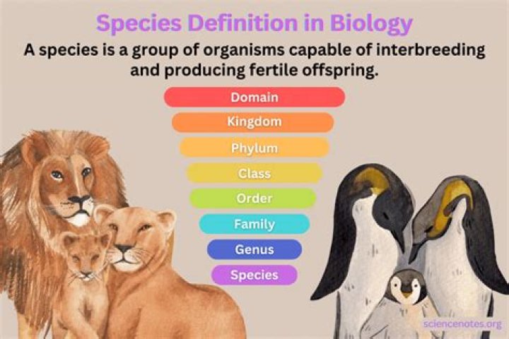 What is the definition of immigration in biology?