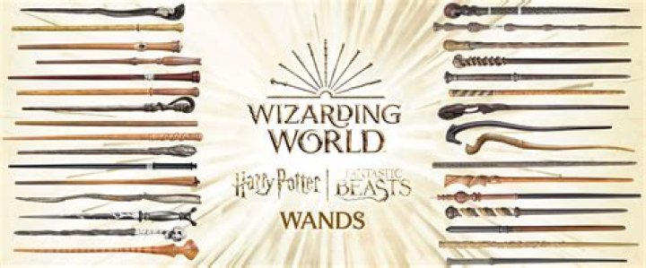 What is the Harry Potter wand shop called?
