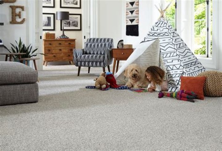What is the most durable carpet?