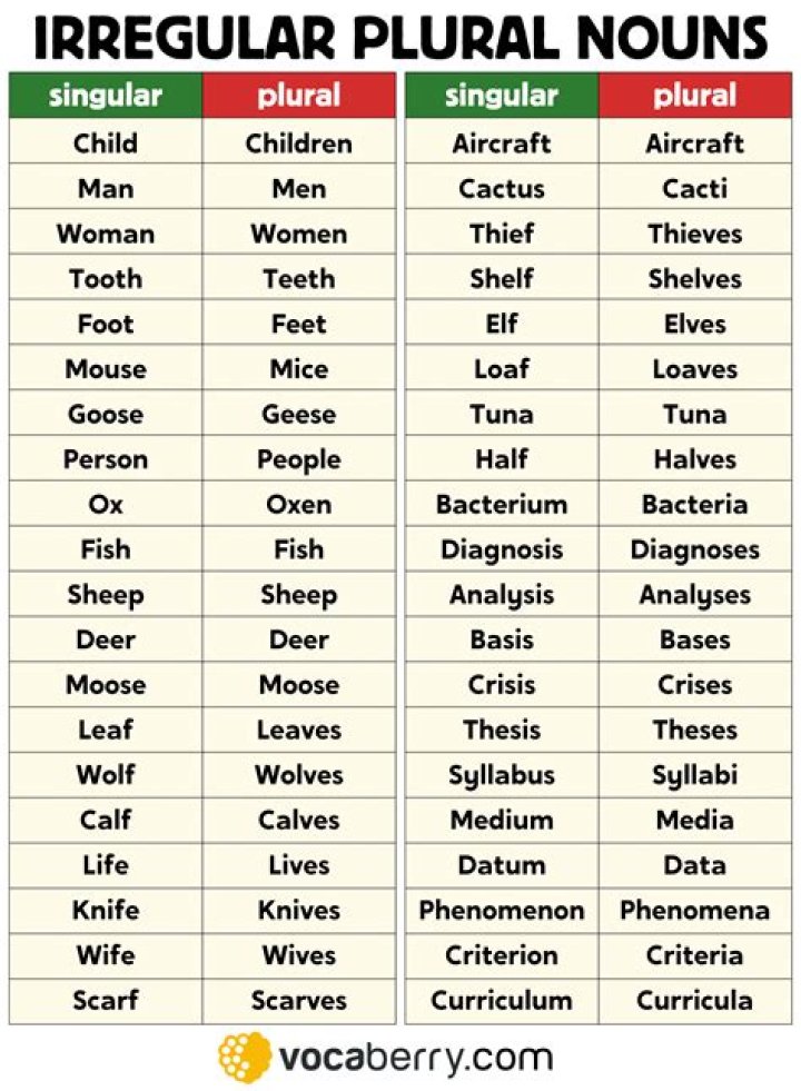 What is the plural of don t?
