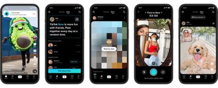 What is TikTok on Facebook?