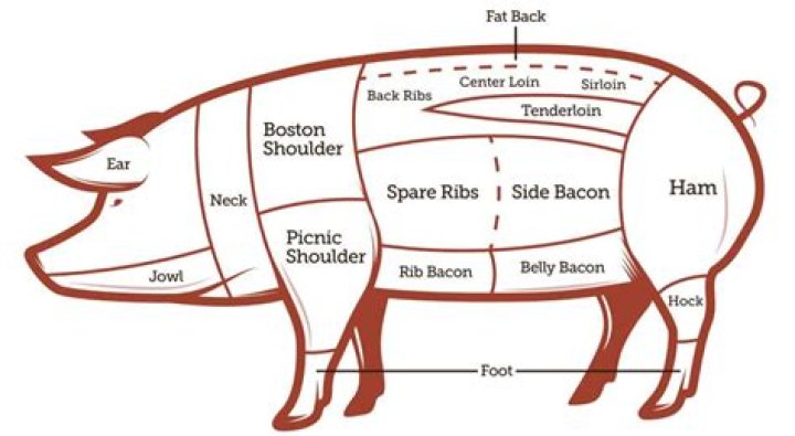 What part of the pig does bacon come from?