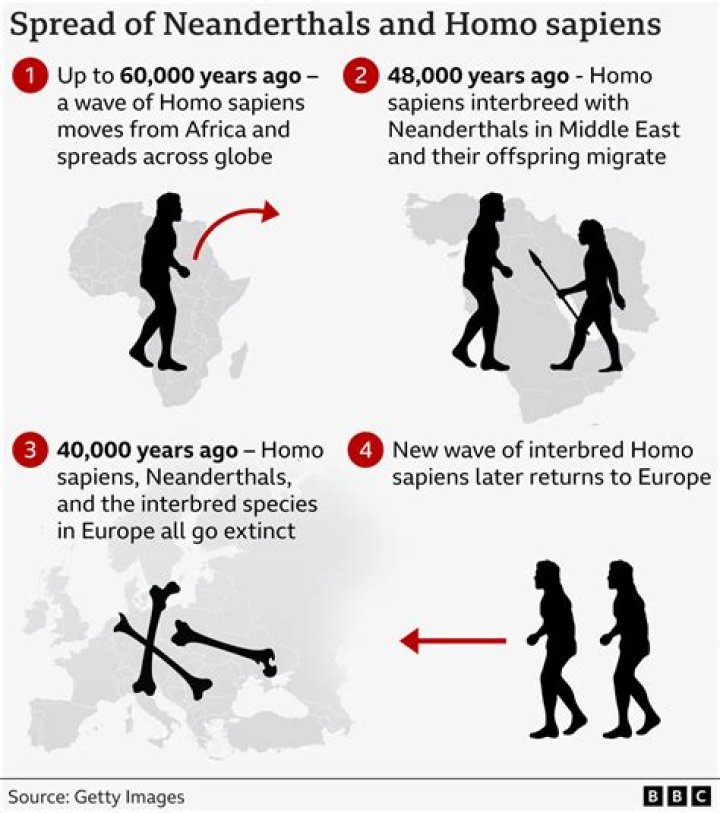 When did Neanderthals disappear? | ContextResponse.com