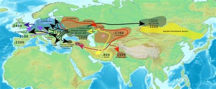 Where did horses come from originally?