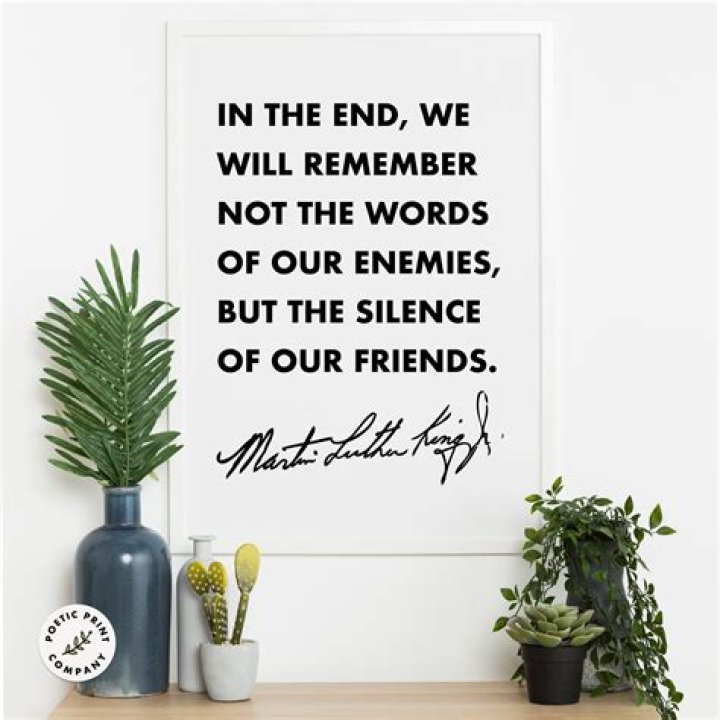 WHO said in the end we will remember not the words of our enemies?