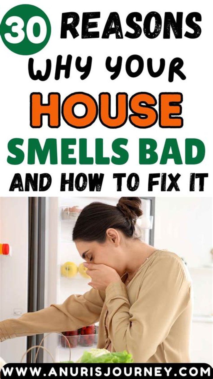 Why does my house smell musty after it rains?