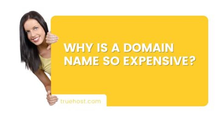 Why is a domain name so expensive?